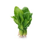 Amaranthus 1 Bunch (Approx 160 g - 1500 g)